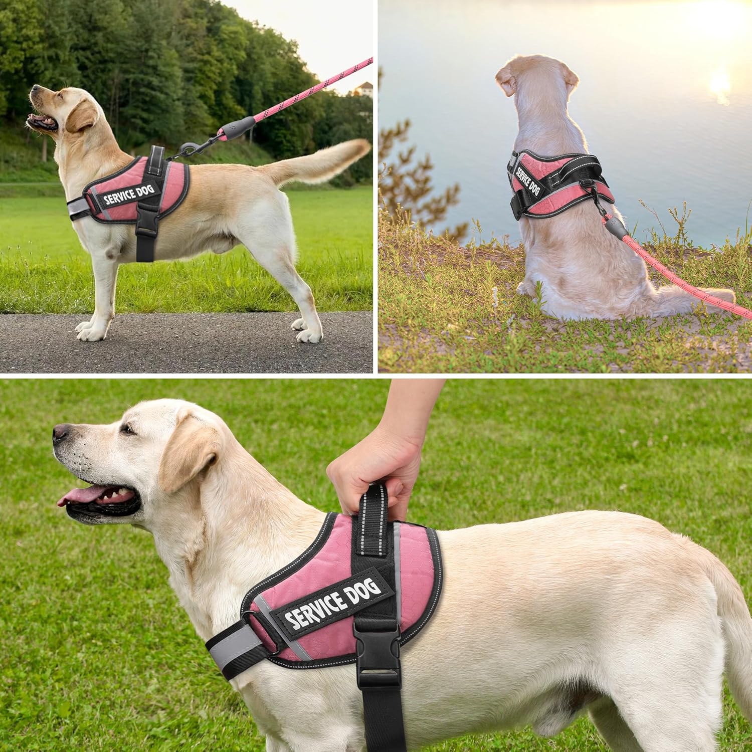 Dog Harness UK - Customized No Pull Dog Harness