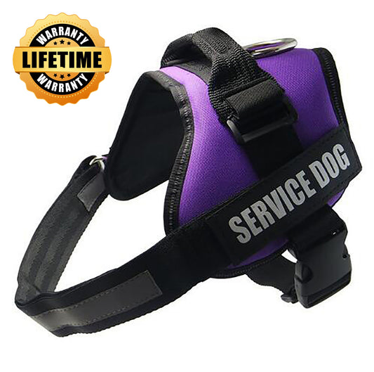 Dog Harness UK - Customized Dog Harness